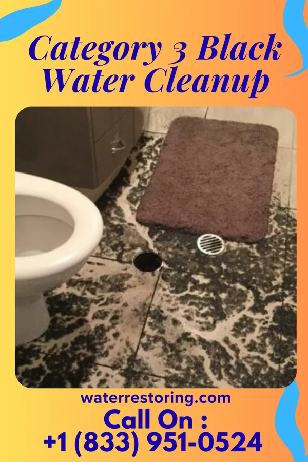 Category 3 Black Water Cleanup in Cardington, OH