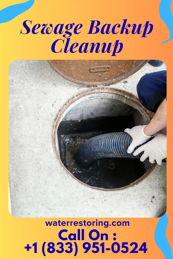 Sewage Backup Cleanup in Cardington, OH