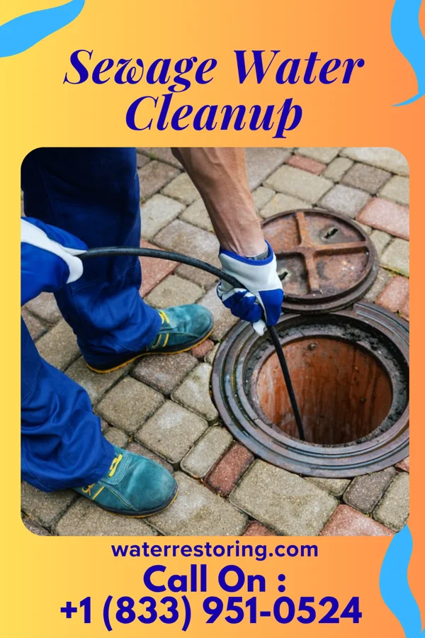 Sewage Water Cleanup in Cardington, OH