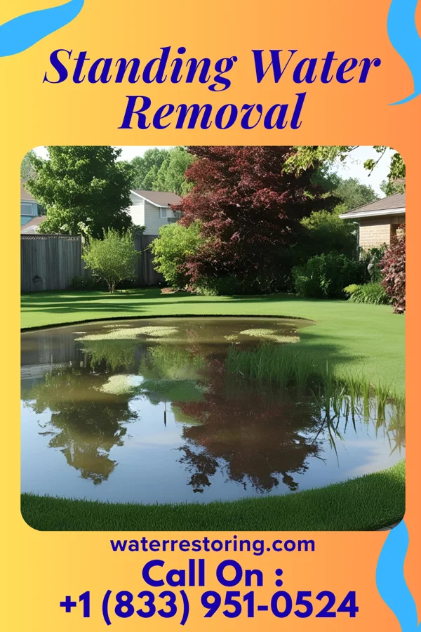 Standing Water Removal in Cardington, OH